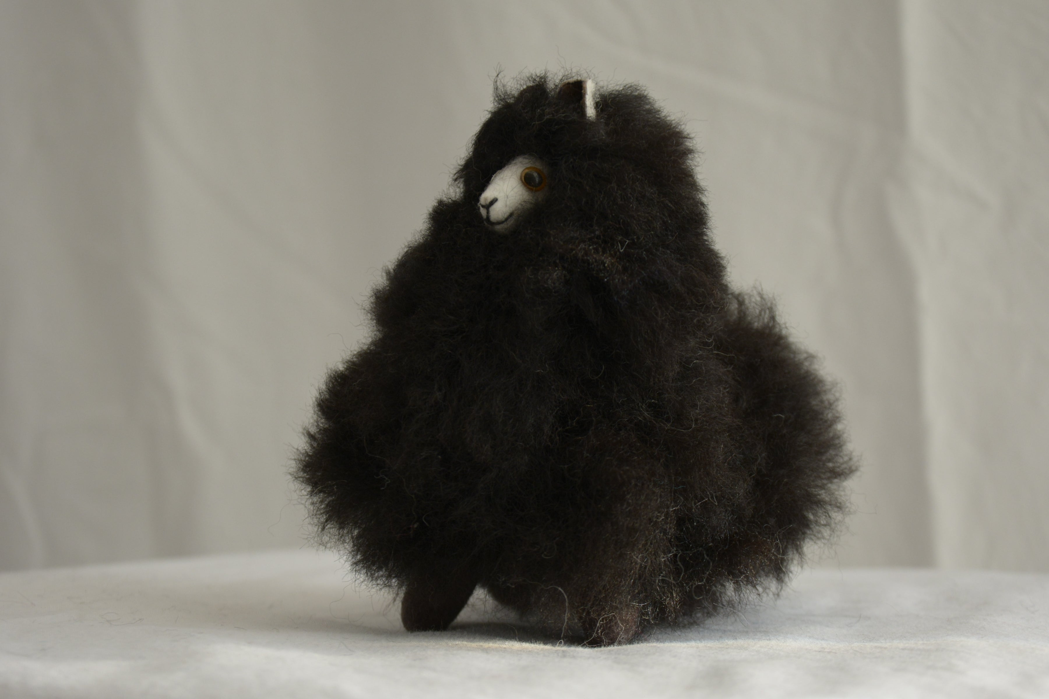 Alpaca_en_Peru_wool_plush_black