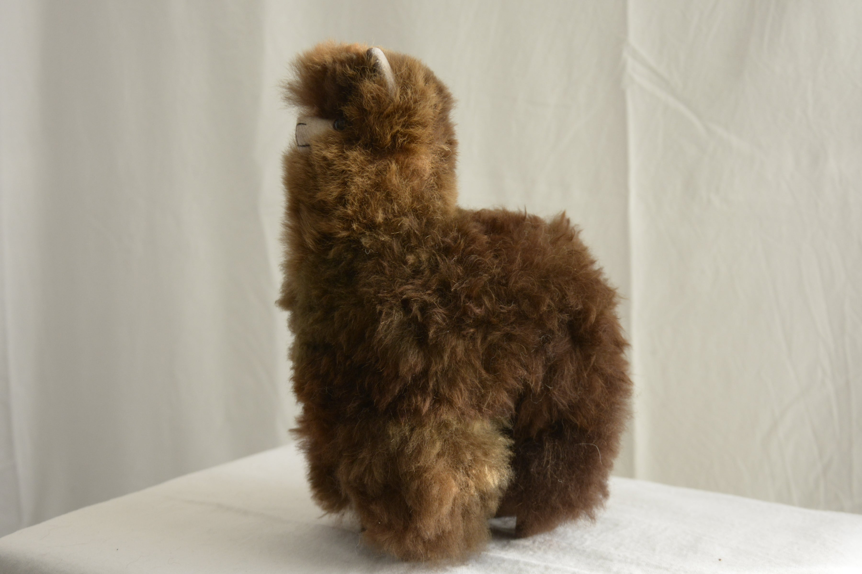 Alpaca_en_Peru_wool_plush_brown