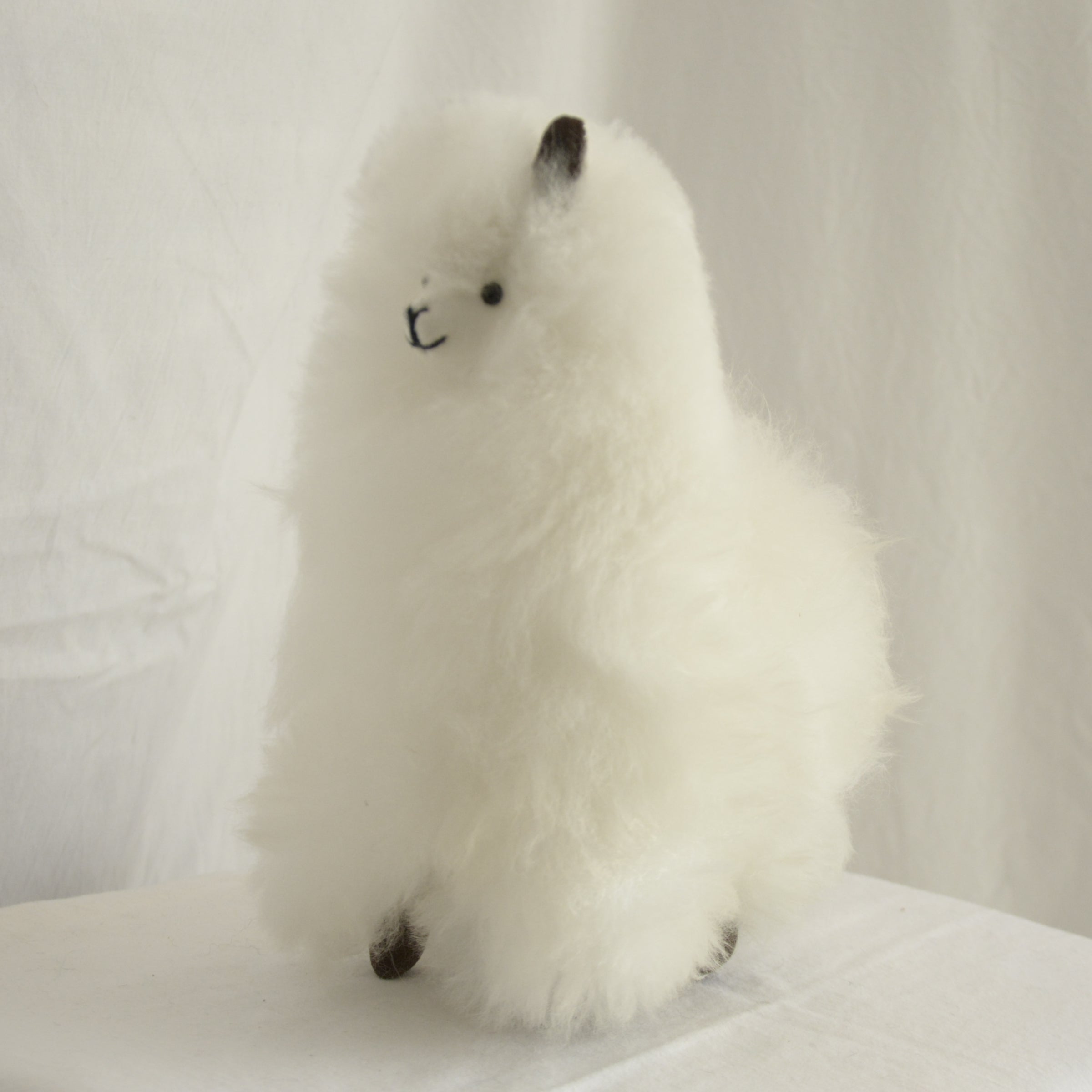 Alpaca_en_Peru_wool_plush_white