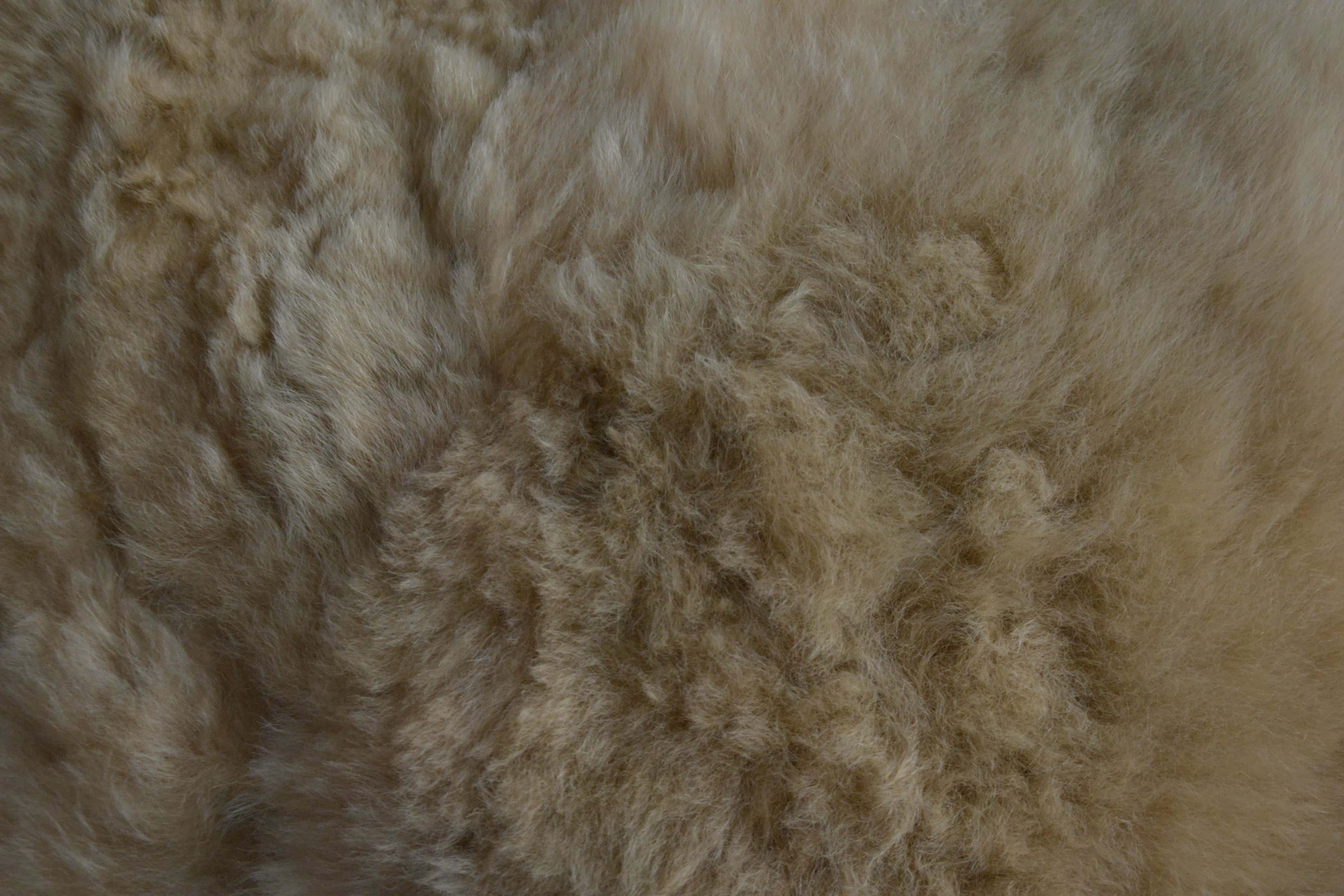 Authentic_peruvian_alpaca_wool_beige