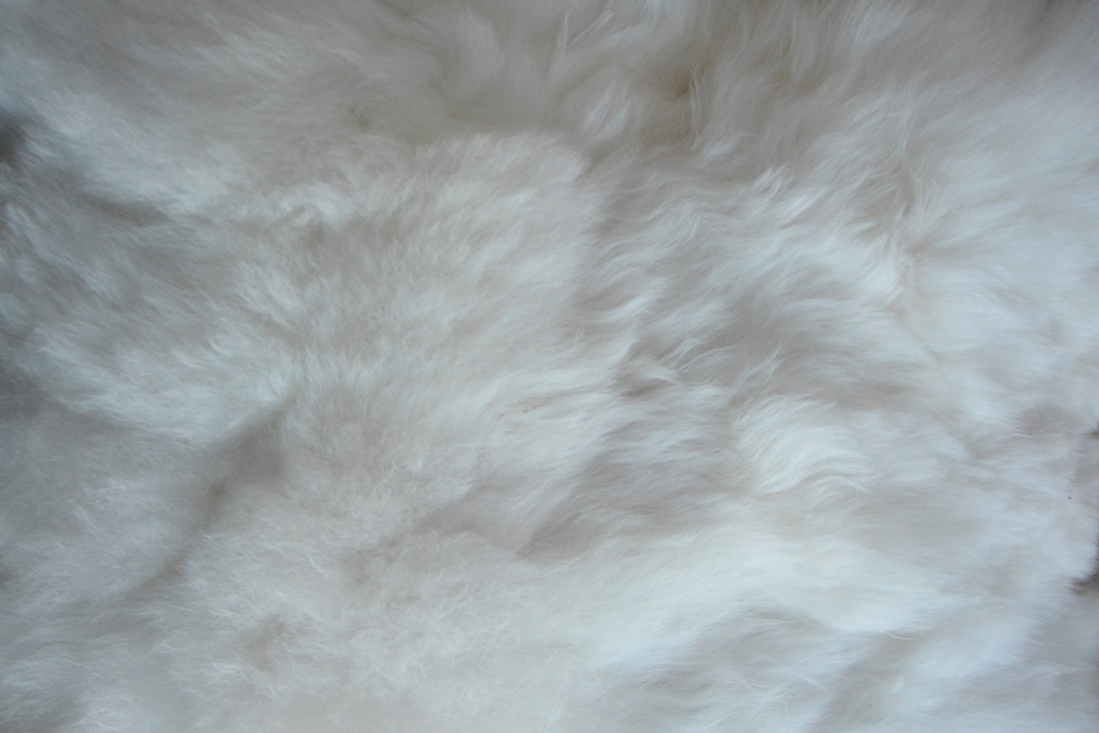 Authentic_peruvian_alpaca_wool_white