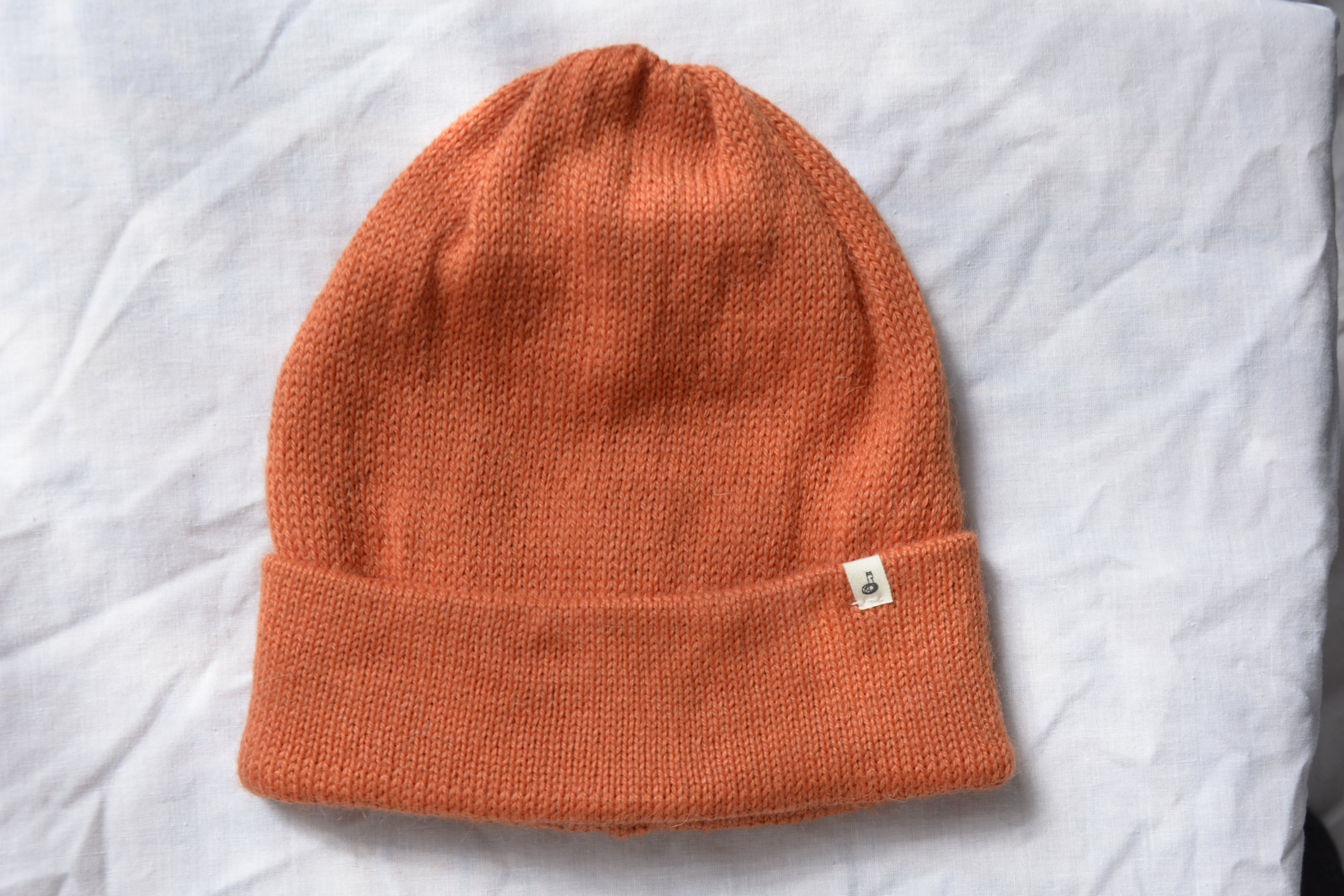 Orange_beanie_Alpaca_en_Peru