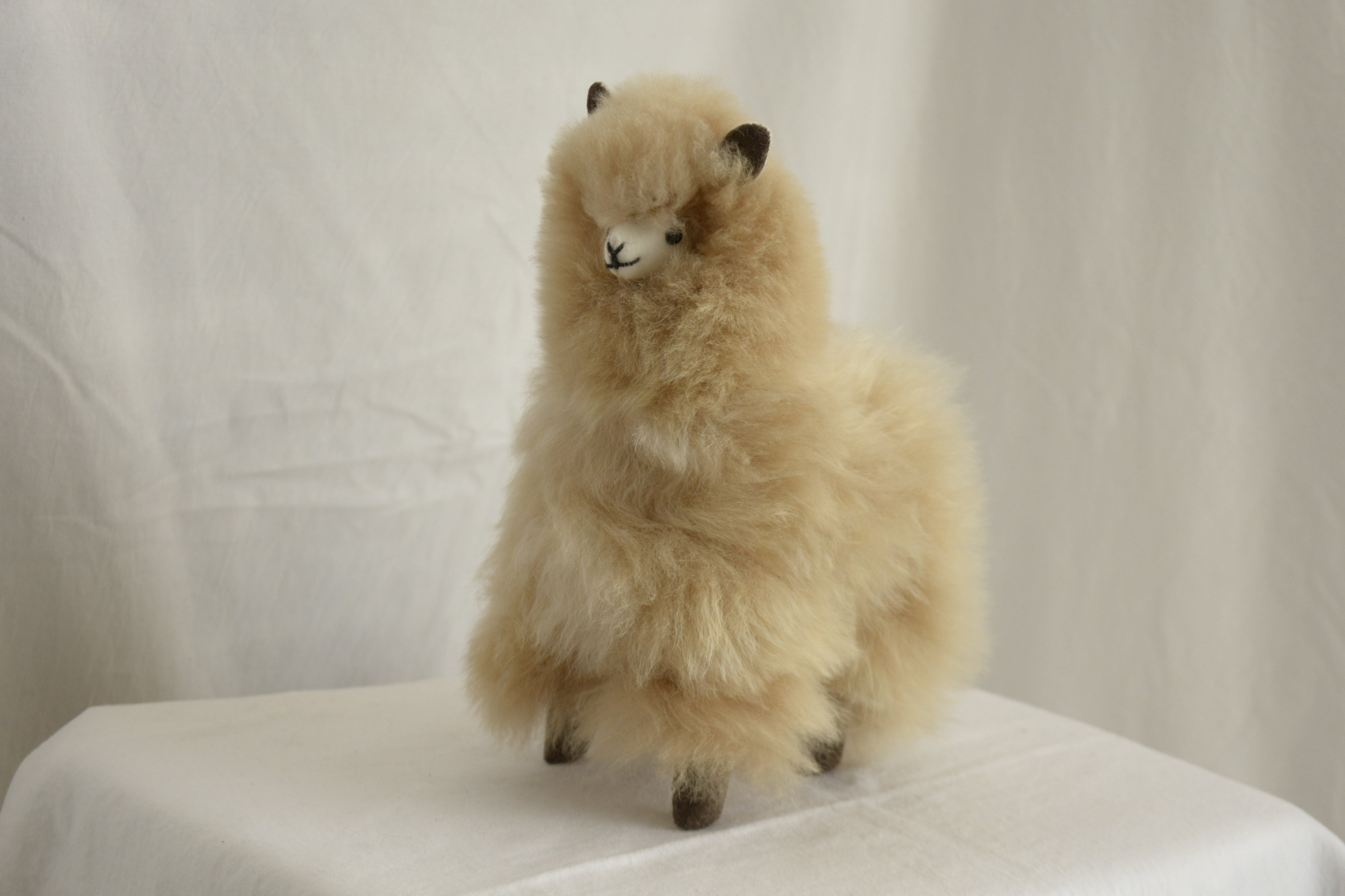 Alpaca_en_Peru_wool_plush_beige