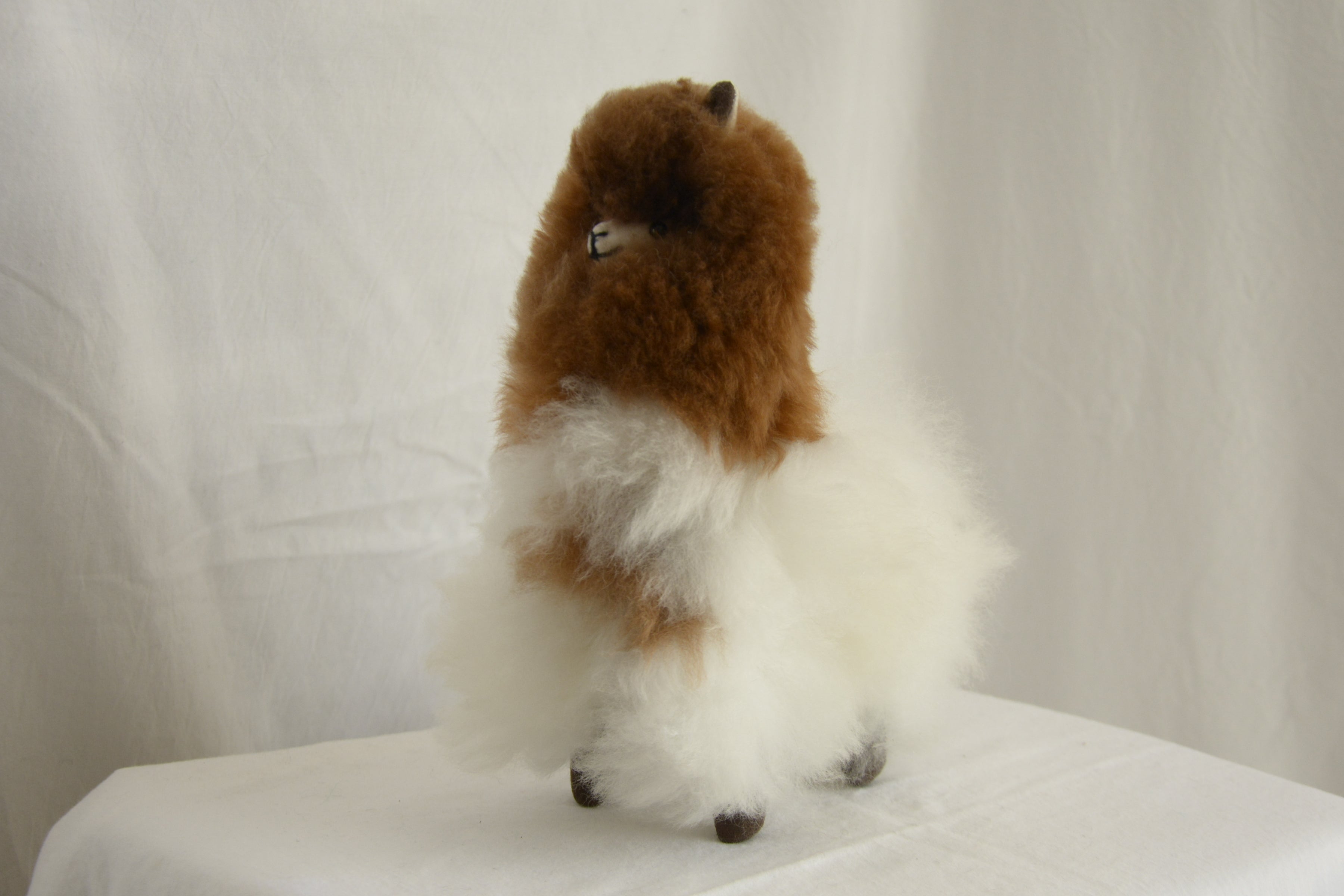 Alpaca_en_Peru_wool_plush_brown_and_white