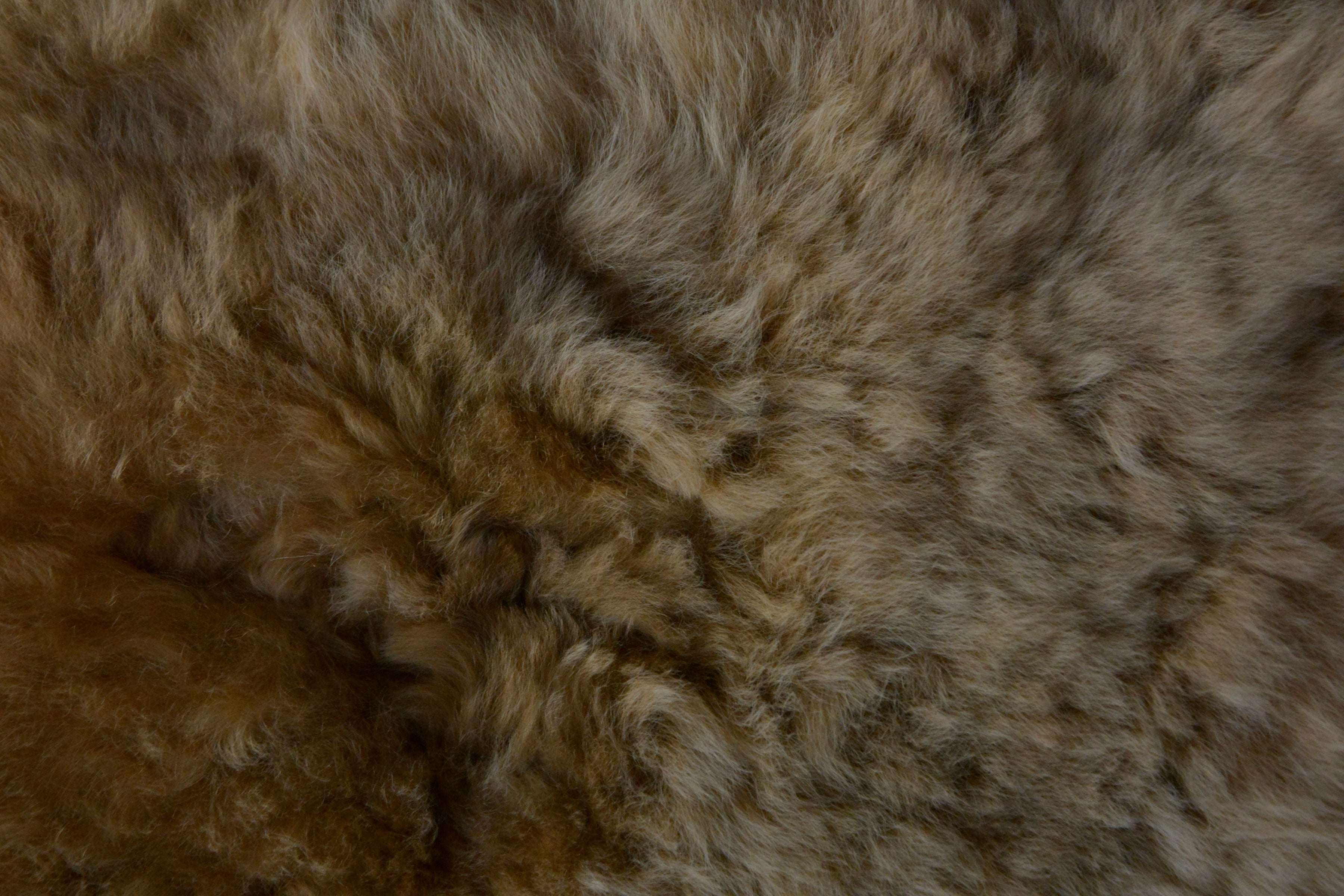 Authentic_peruvian_alpaca_wool_brown