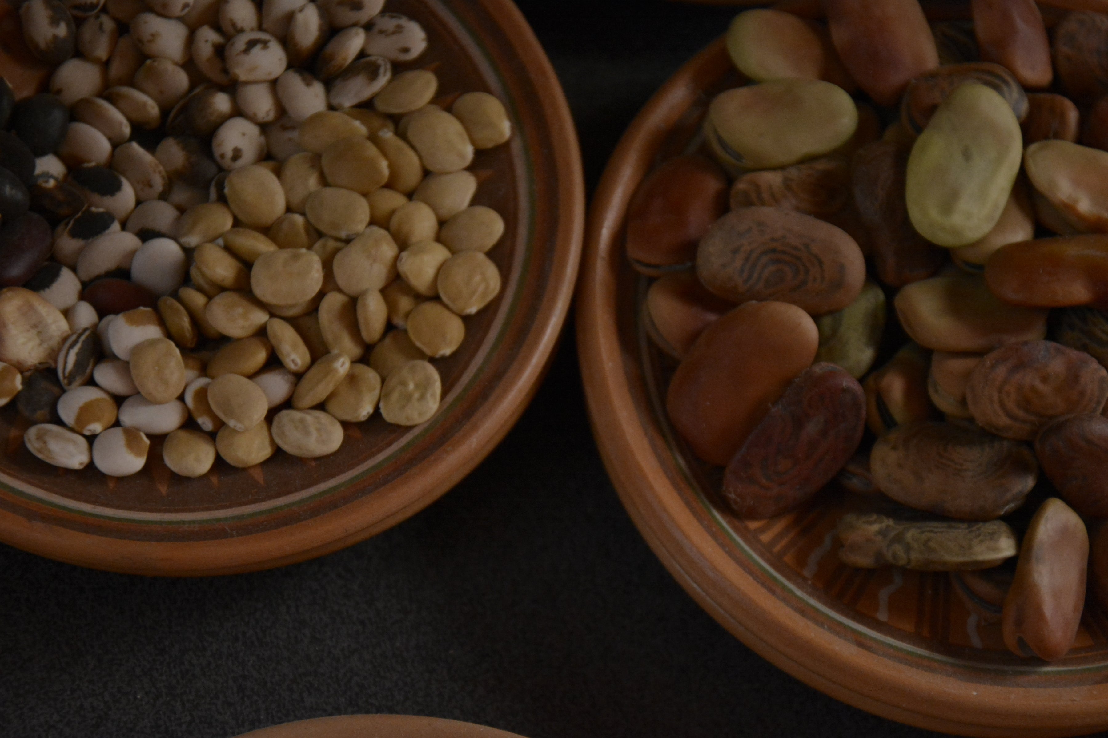 Wood_bowl_legumes
