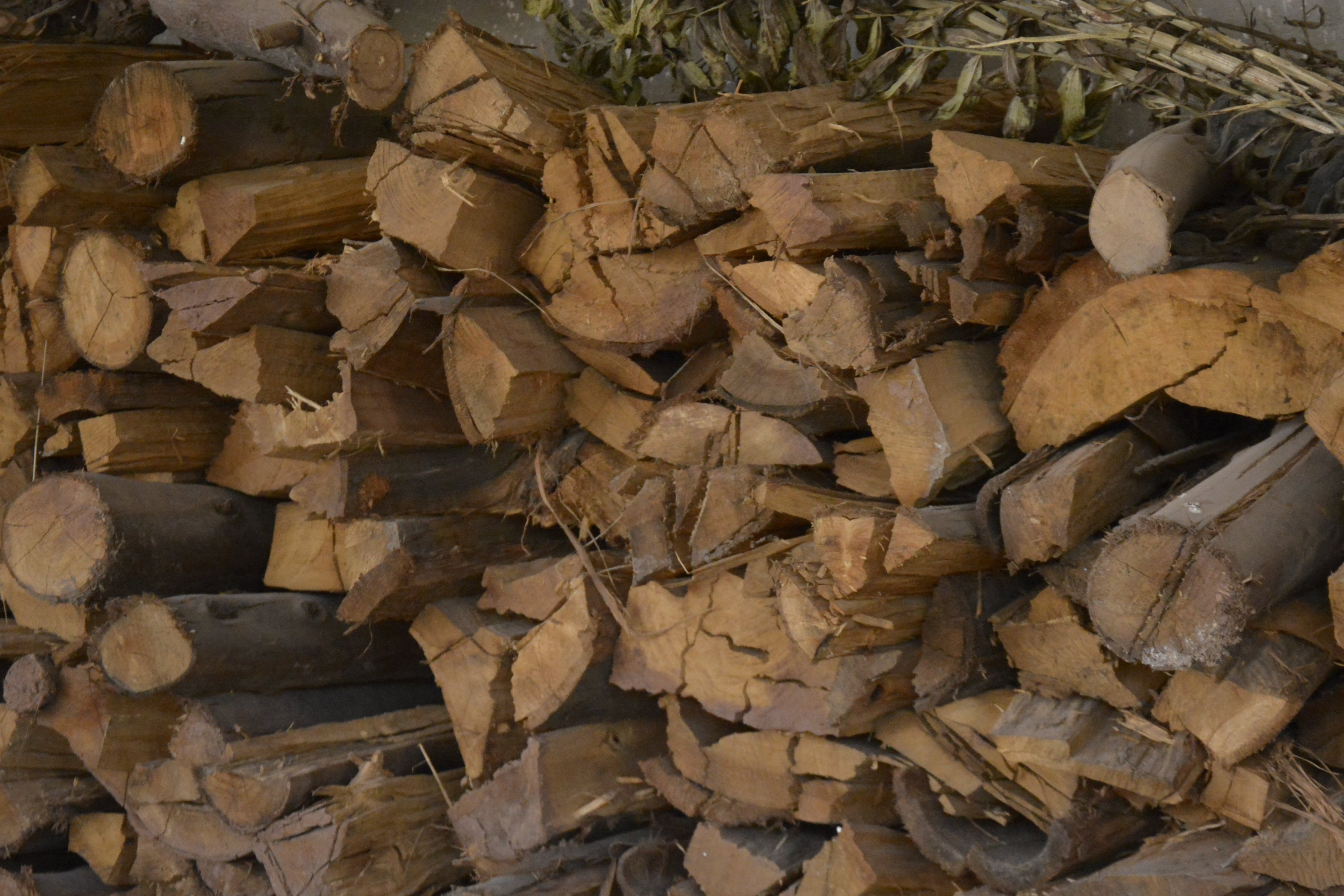 A_pile_of_firewood_in_chinchero