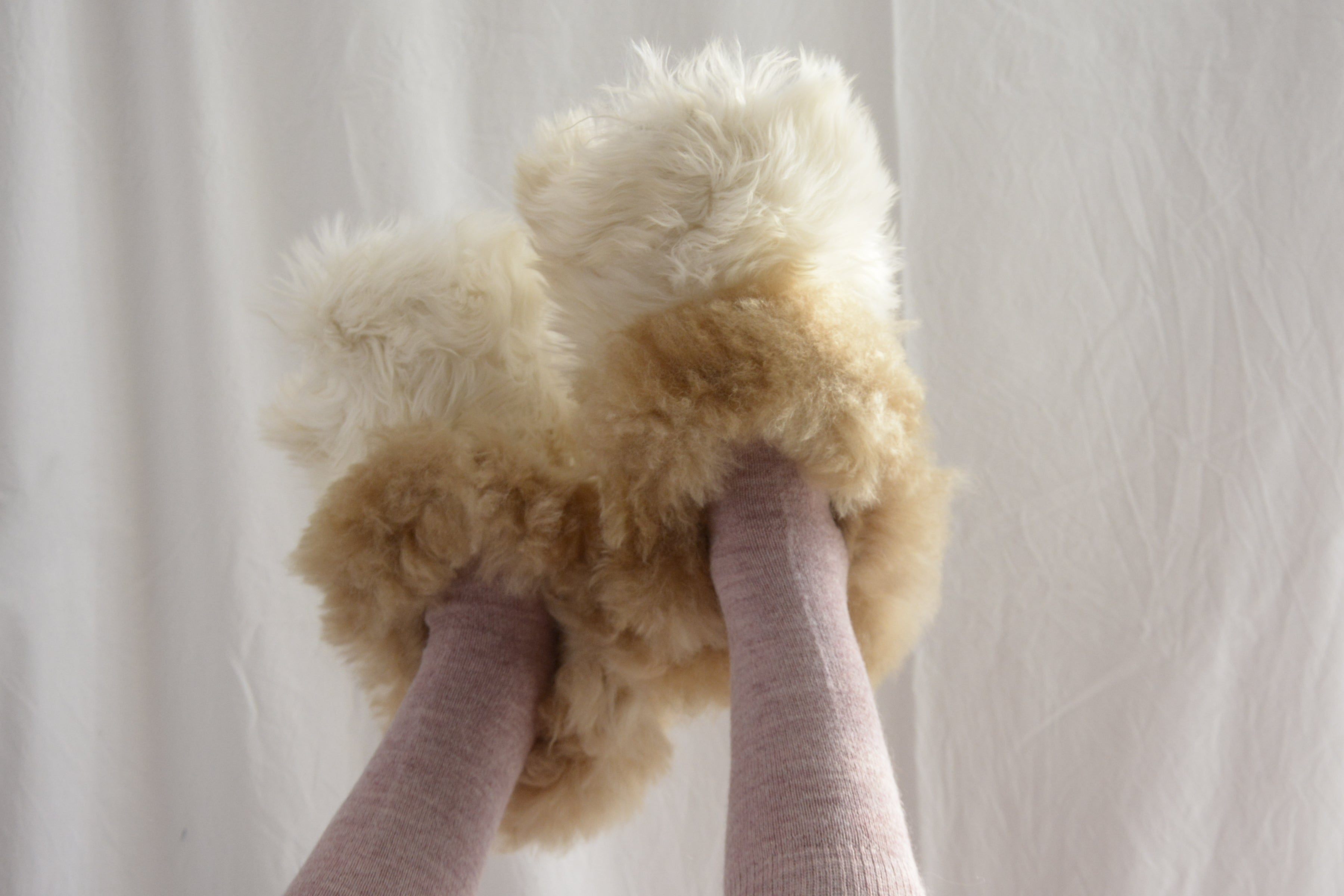 Beige_and_cream_slippers_feet_point_up