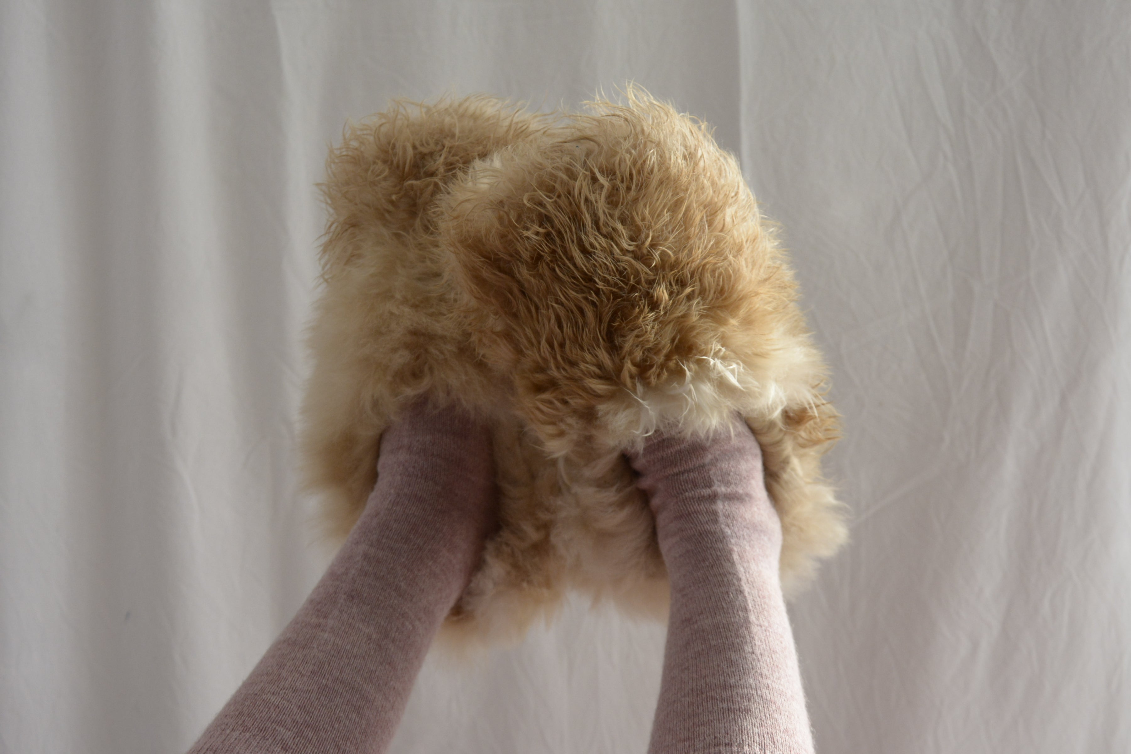 Brown_and_cream_slippers_feet_point_up