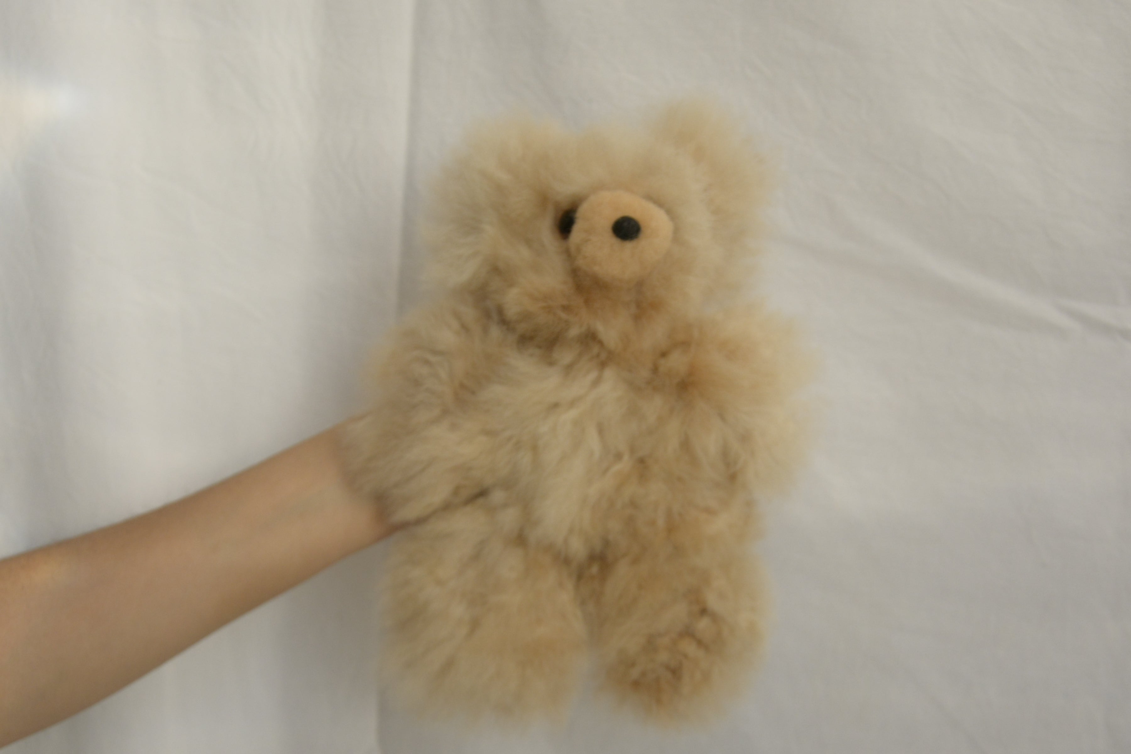 Teddy_bear_alpaca_wool_beige