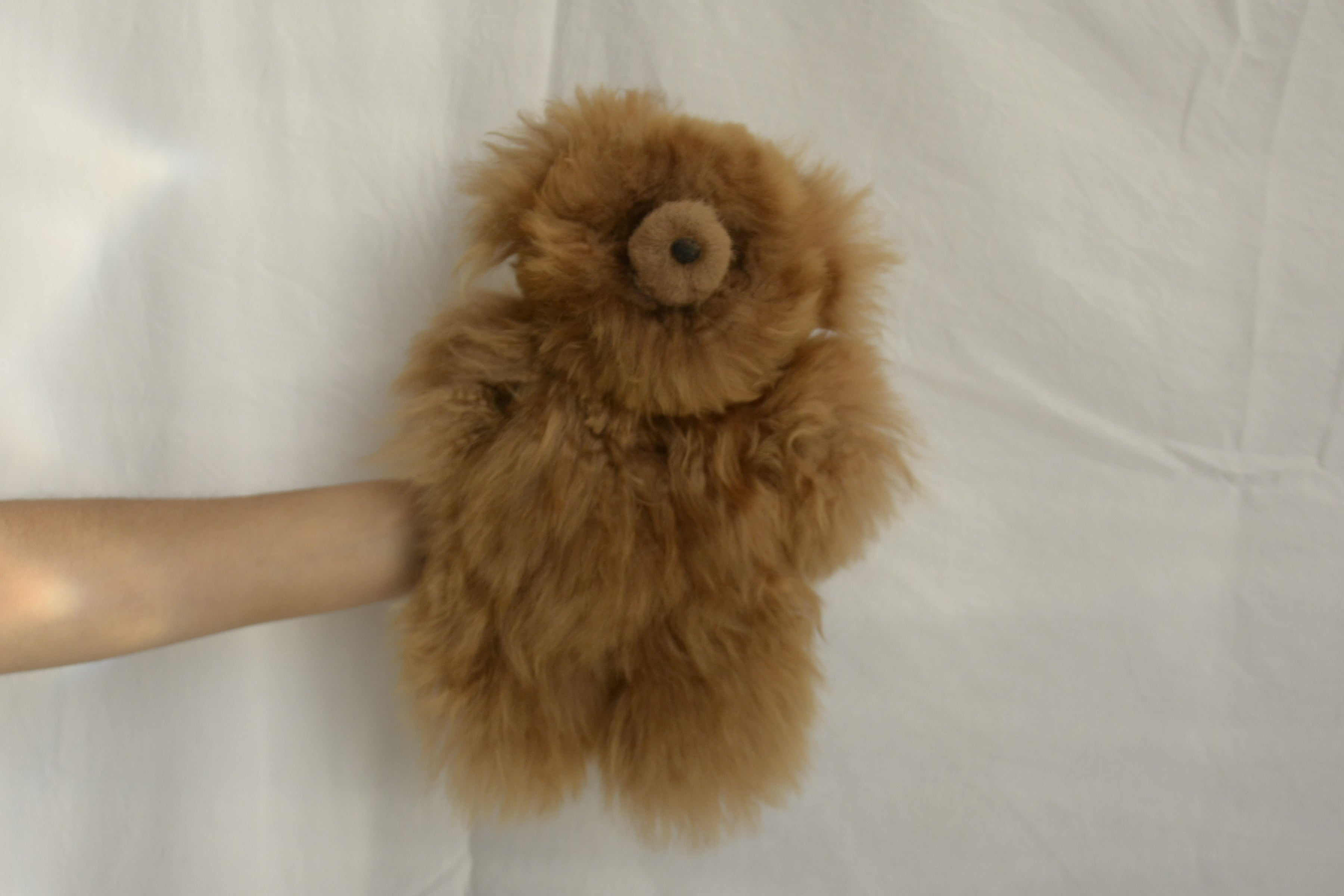 Teddy_bear_alpaca_wool_brown